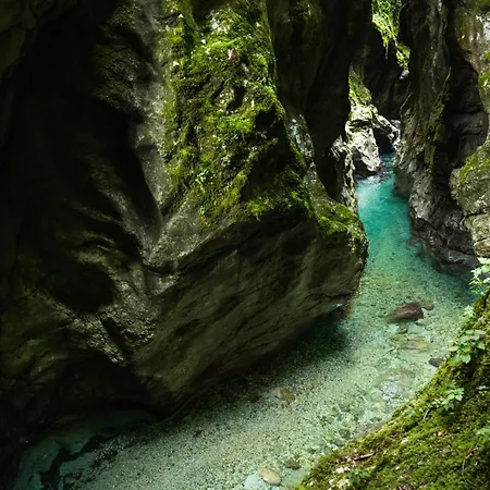 Zen Emerald & Spa, Soca River *