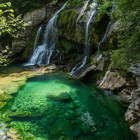 Zen Emerald & Spa, Soca River